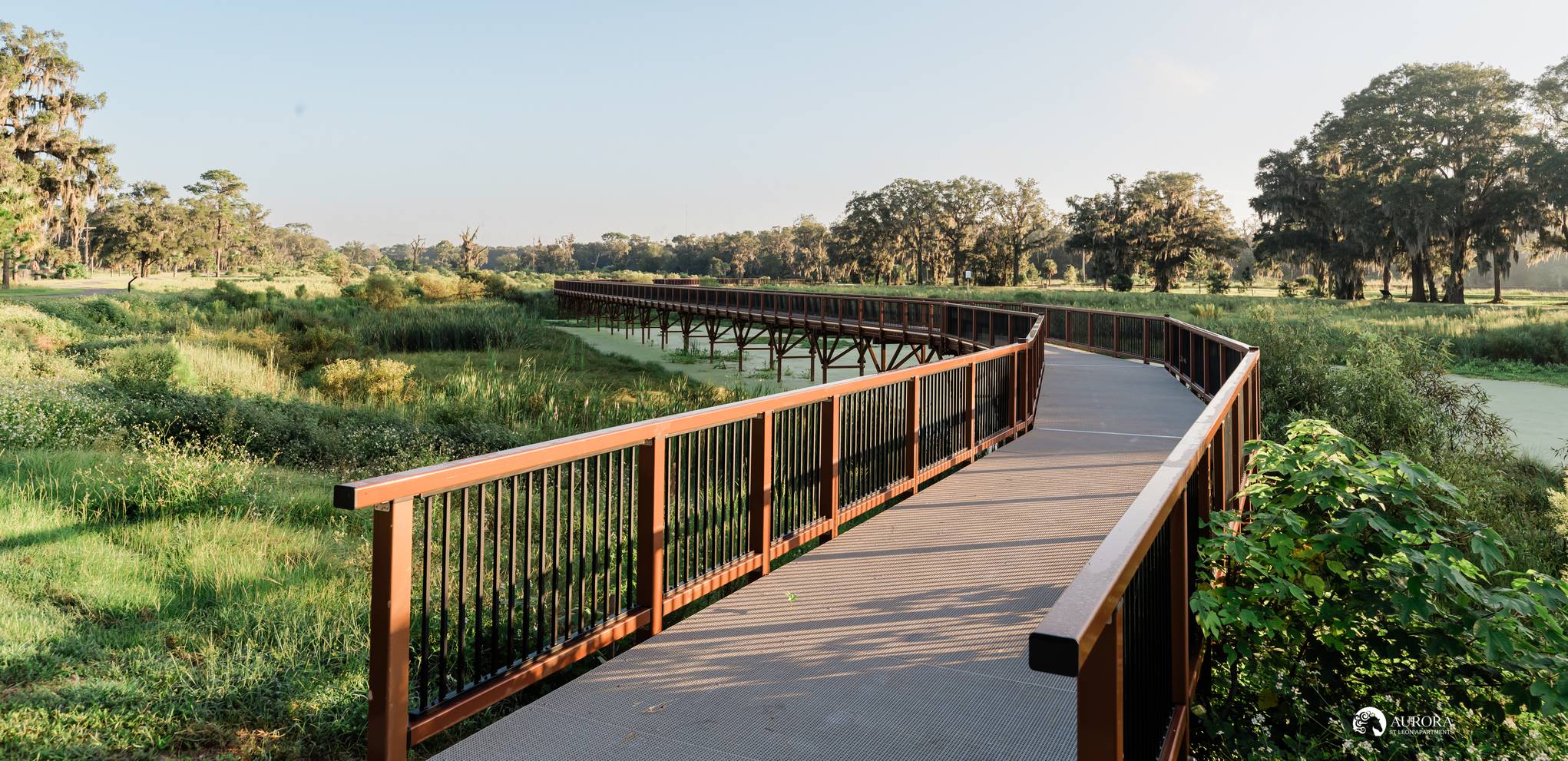 Apartments for rent in Ocala Boardwalk leading over a marshy area with trees and greenery in the background, featuring GPS tracking for easy navigation. Aurora St. Leon Apartments in Ocala 2150 NW 21st Avenue | Ocala, FL 34475 (352) 233-4133