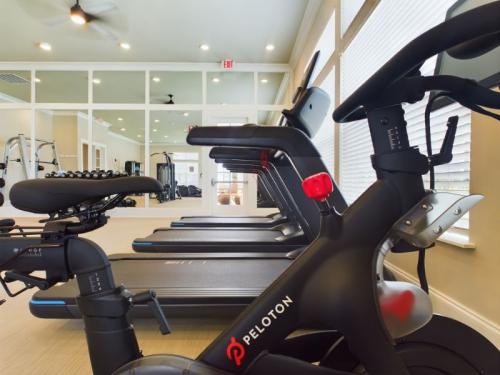 Apartments for rent in Ocala, FL - Fitness Center with Equipment (3)