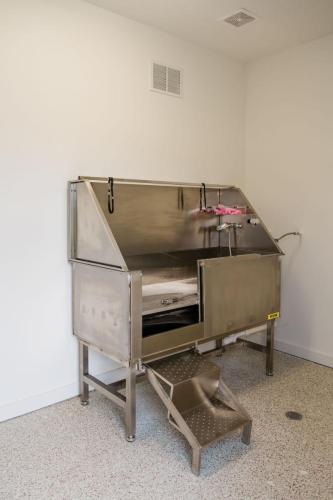 Apartments for rent in Ocala A stainless steel pet washing station with a ramp and adjustable restraints in a clean, white room with speckled flooring. Aurora St. Leon Apartments in Ocala 2150 NW 21st Avenue | Ocala, FL 34475 (352) 233-4133